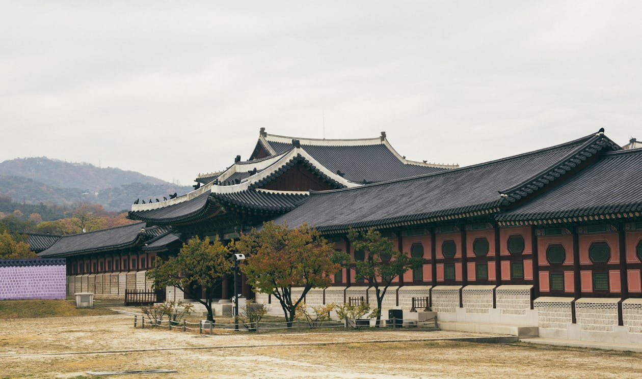 A Comprehensive Guide to Combating Trademark Infringement in South Korea