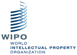 What is an International Patent? Everything You Need to Know